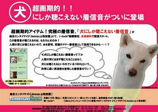 dogs 380x271 rYK6X 1333